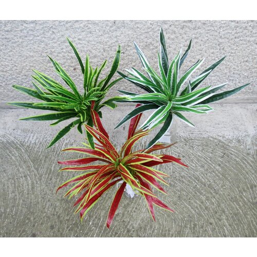 Lilium veštačka biljka dracena u tri boje 50 cm 205273 Slike
