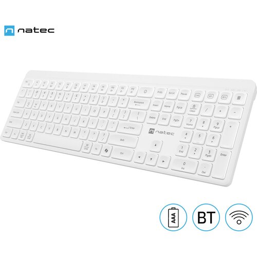 Natec Brezžična tipkovnica TANG, profesionalna, BT / USB 2.4GHz, tiha stikala, 2x AAA baterija, F1-F13, Windows / Android / Linux, USB-A, bela, (5000517157) Slike