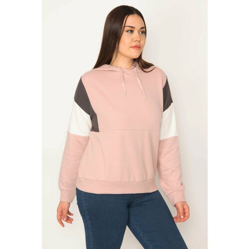 Şans Women's Plus Size Rose Pink Color Detailed Hooded Sweatshirt Slike