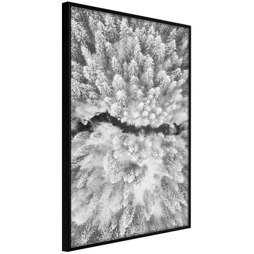  Poster - Frost Land 30x45 Cene