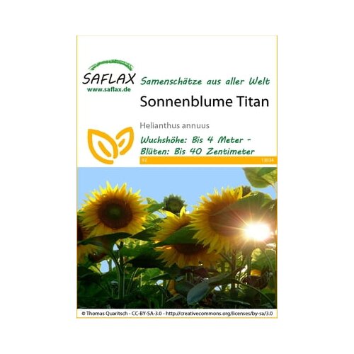 Saflax Sončnice Titan Cene