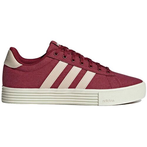 Adidas Nizke superge Baskets Daily 4.0 cuir Bordo Slike