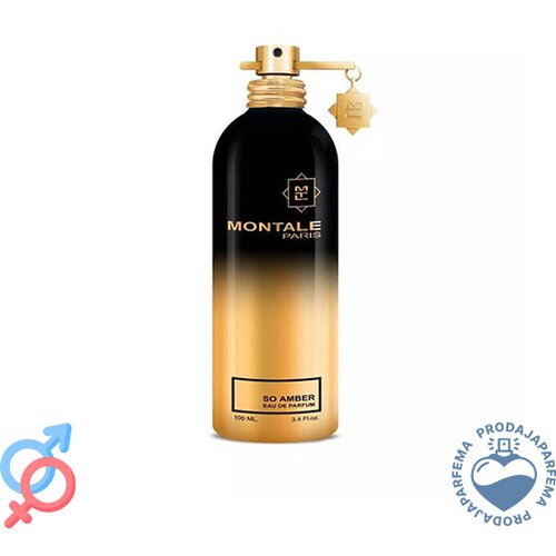 Montale So Amber - 100ml Cijene