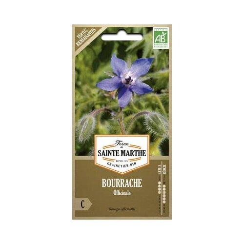  Boraga "Officinale" Cene