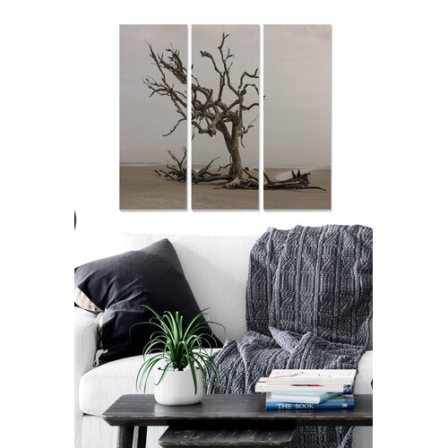 Wallity Set slika MDF3137482, 3 dijela Cijene