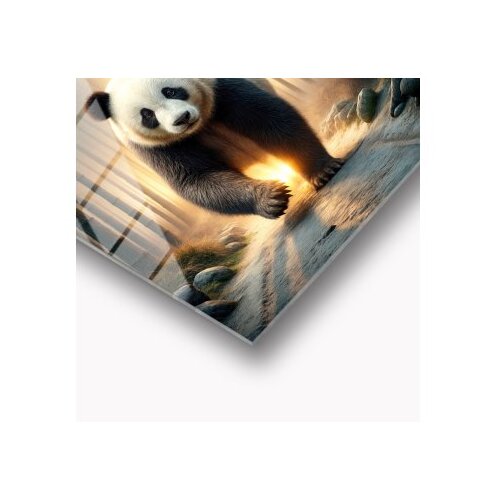 WALLXPERT dekorativna slika od kaljenog stakla soft 30 x 43 Slike