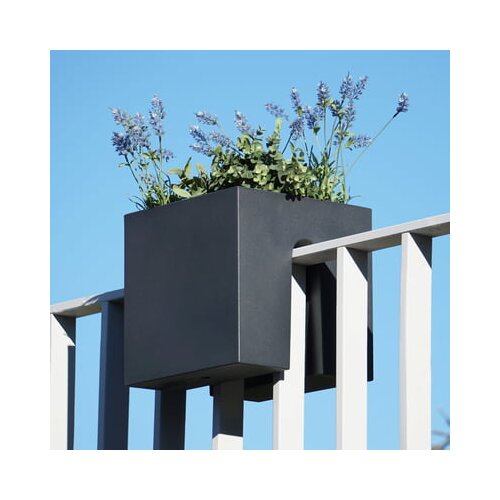 rephorm Posoda za rastline "Steckling Cube" - Grafit (antracit) Cene