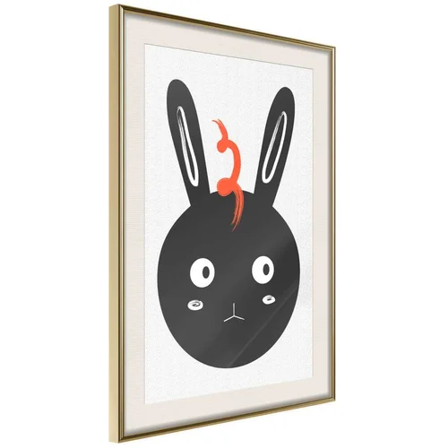  Poster - Surprised Bunny 20x30