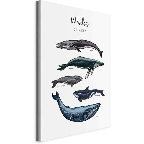 Artgeist Slika Na Platnu Whales Cene