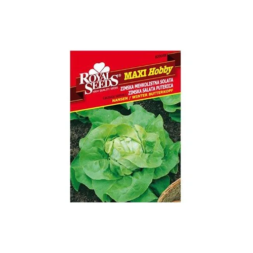  Salata Nansen Maxi Royal Seeds