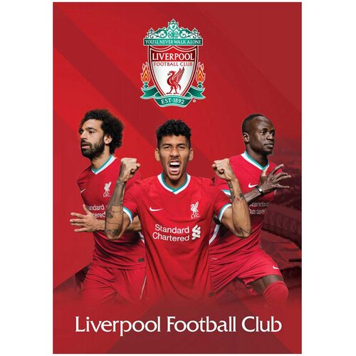 Simpo Zvezek A4 Liverpool, brezčrtni, 54 listov, sortirano, 1 kos Slike