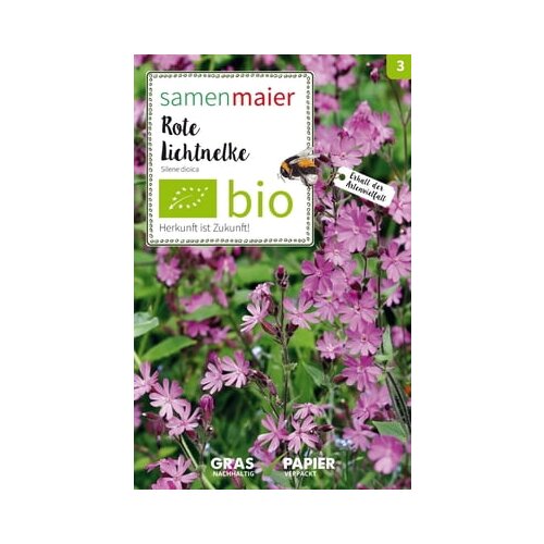 Samen Maier Divji cvet Silene dioica Cene
