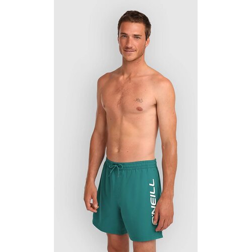 O'neill Logo 16'' Boardshorts botanical heat Cene