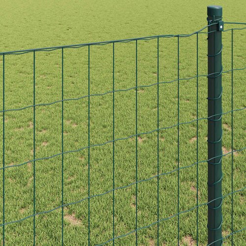 Euro ograda 0,8 x 10 m Željezo prekriveno PVC-om Zelena Slike