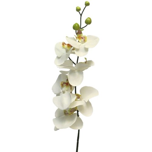 Dekordom cvet ORCHID 78cm 11518-0 - Cream - NNT Cene