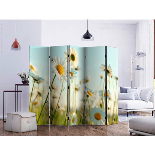 Artgeist Paravan Daisies I, 5-Delni, Dvostranski Slike