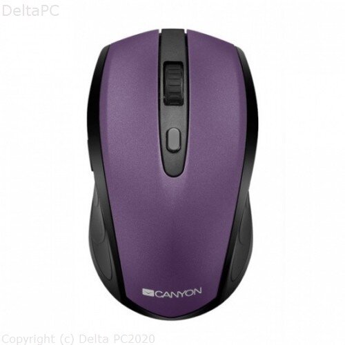 Canyon 2 in 1 wireless optical mouse with 6 buttons CNS-CMSW08V Cijene