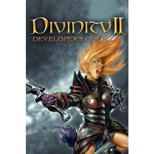 Steam Divinity II: Developer's Cut Key (PC) GLOBAL Cene