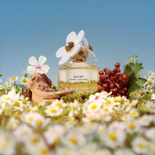 Marc Jacobs daisy toaletna voda 100 ml za žene Slike