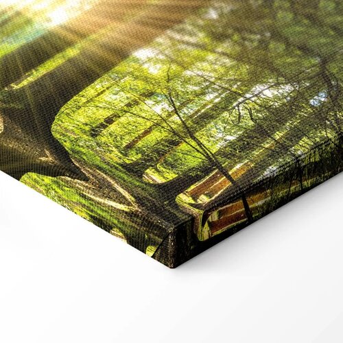 Slika - Daylight 120x40 Na talijanskom platnu Slike