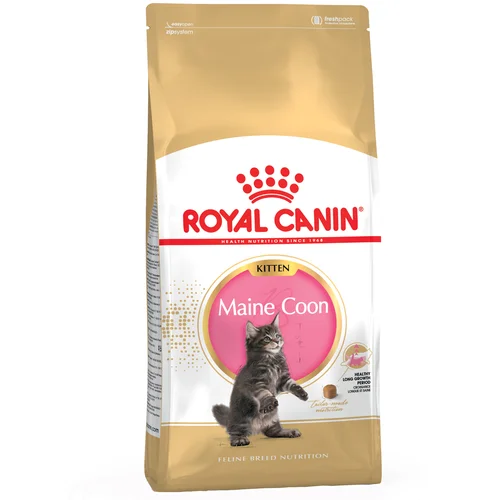 Royal Canin Maine Coon Kitten - 4 kg