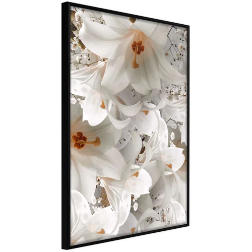  Poster - Floras Mess 30x45