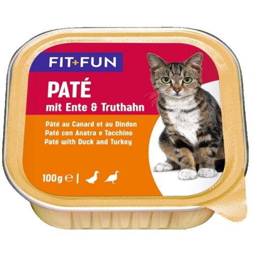 FITFUN Pate pačetina i puretina 100 g ALU-pak Cijene