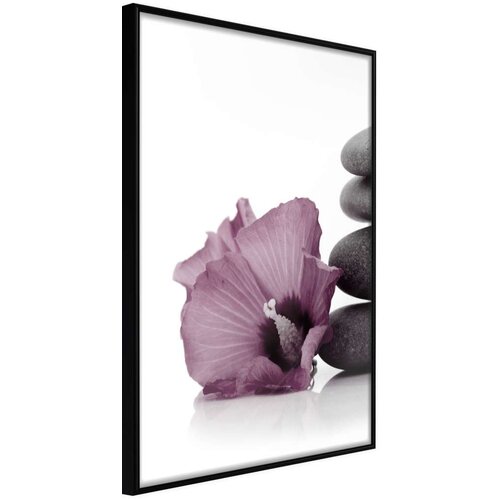  Poster - Violet Harmony 40x60 Cijene