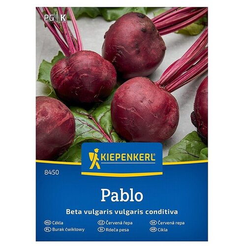 KIEPENKERL Zelenjavna semena Rdeča pesa Pablo (Beta vulgaris subsp. vulgaris Conditiva Gp, Čas žetve: Julij) Cene