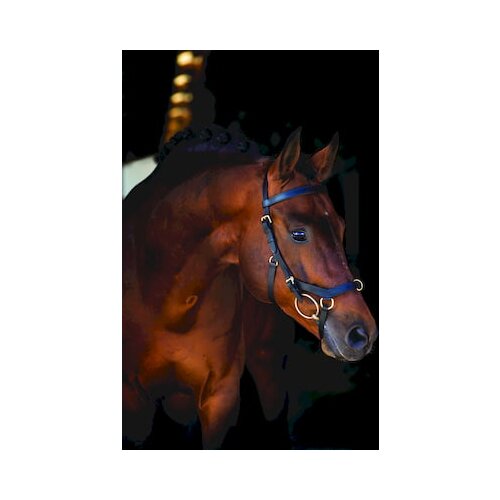 Horseware Ireland Rambo Micklem multi-uzda &amp;quot;black&amp;quot; - WB Slike