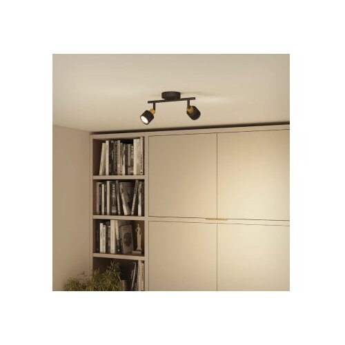 Philips niall GU10 2 x 5 w spot Slike