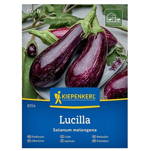 KIEPENKERL Zelenjavna semena Jajčevec Lucilla (Solanum melongena, Čas žetve: Julij) Cene