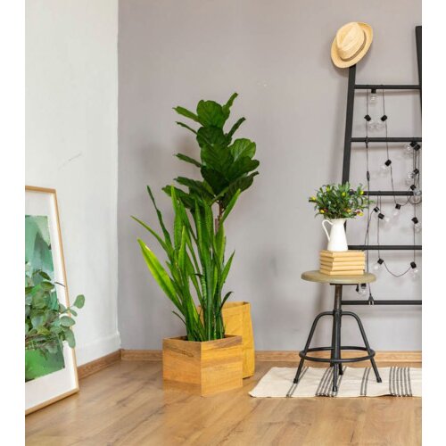 PAN PARKET Parket Hrast VS 1S 2000x185x13.5mm Cijene