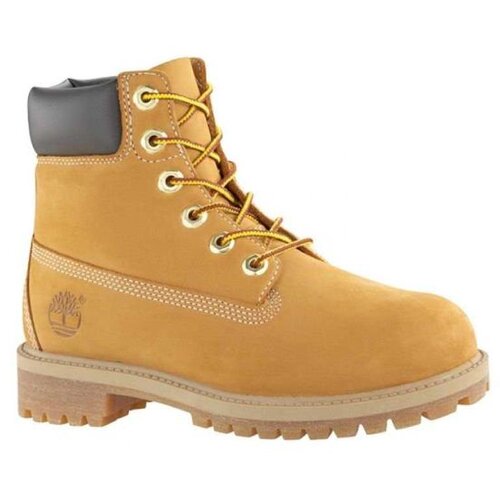 Timberland braon cipele za devojčice T12909 Cene