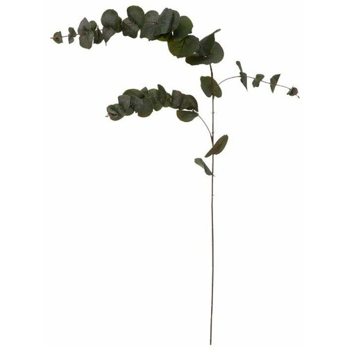 Atmosphera eukaliptus grana 12X12X118CM poliester/pe/metal zelena 185478 Slike