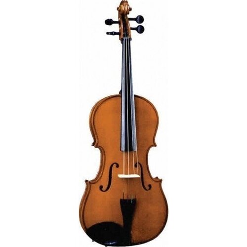 Valencia VA400 15'' viola set Cijene
