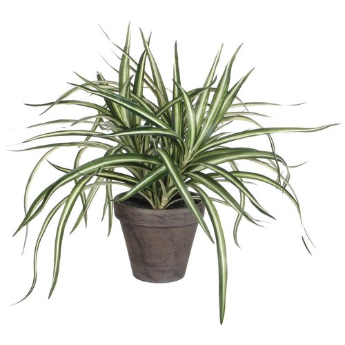 MICA Umjetna biljka (Visina: 43 cm, Zelene boje, Plastika) Cijene