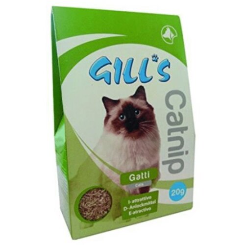 GILLS gill&amp;#039;s catnip mačija trava 20 g Slike