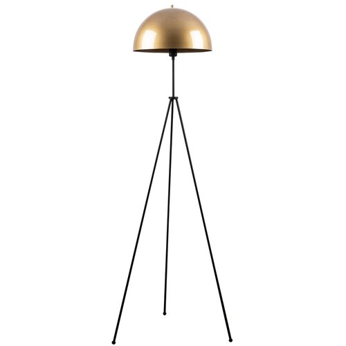 Opviq podna lampa Can-NT-113, 170 cm, E27 40W, zlatna boja Cene