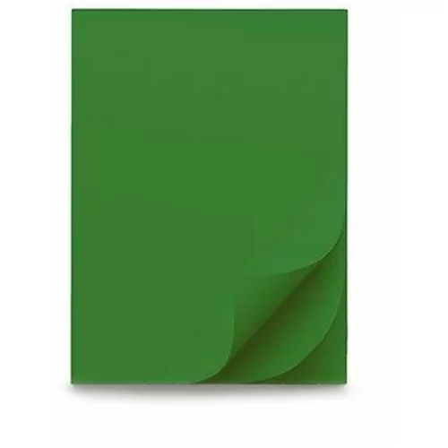  Šeleshamer papir B1, 220 g, 10 listov, gozdno zelen