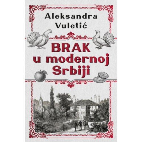 Laguna Brak U Modernoj Srbiji - Aleksandra Vuletić ( 15365 ) Cene