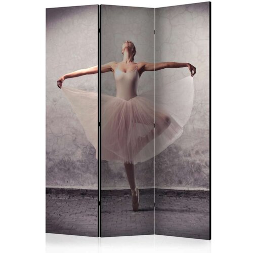  Paravan u 3 dijela - Classical dance - poetry without words [Room Dividers] 135x172 Cijene