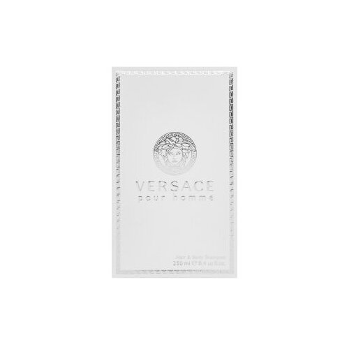 Versace Pour Homme Dylan Blue parfumiran gel za prhanje 250 ml za mo&amp;scaron;ke Slike