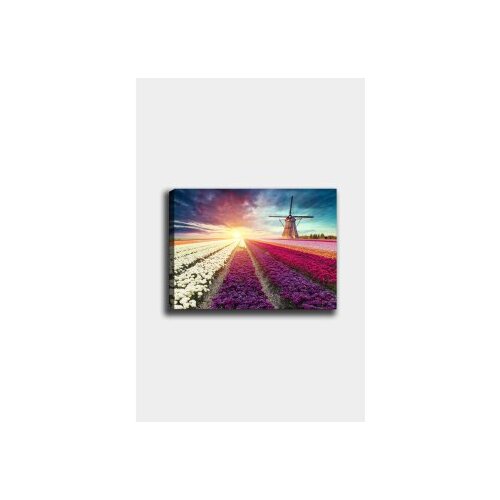 Wallity Slika 691552153, 50x70 cm Cene