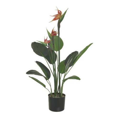  CVIJEĆE PVC Φ17Χ81CM Cijene