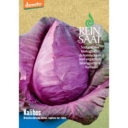 ReinSaat Rdeče zelje "Kalibos" - 1 pkt. Cene
