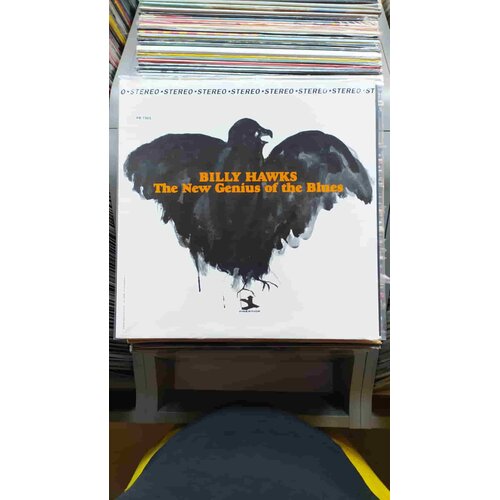  billy hawks - new genius of the blues Cene
