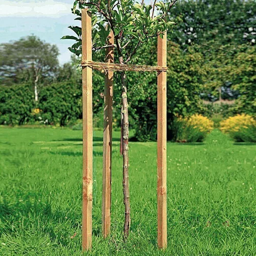 x potporanj za stablo (4 4 120 cm)
