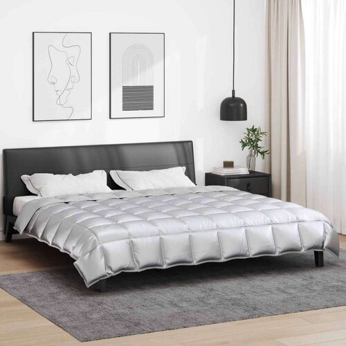  Zimska posteljnina srebrna 240 x 200 cm Satin in mikrovlakna, (5000147468) Cene