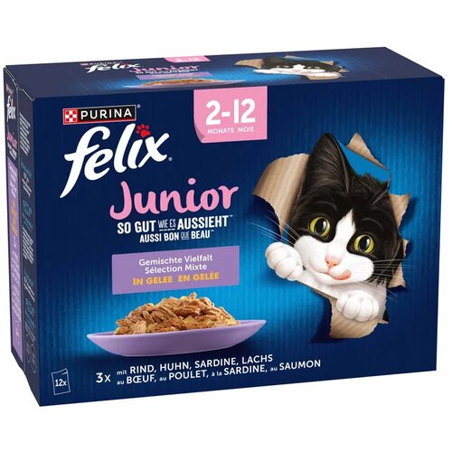 Felix Fantastic Junior piletina multipack, 12 x 85 g Slike